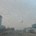 2889658197