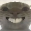 cadfekeo