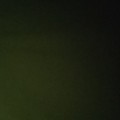 yhlsw